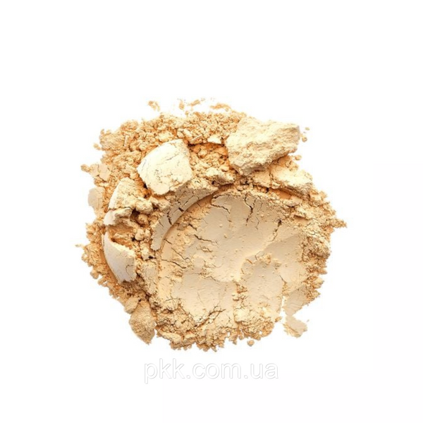 Пудра для обличчя розсипчаста TopFace INSTYLE Perfective Loose РТ255, 104 Пісочний беж PT255 фото